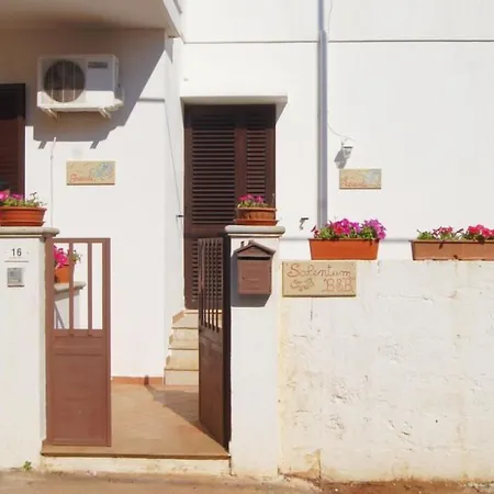 Bed & Breakfast Salentum